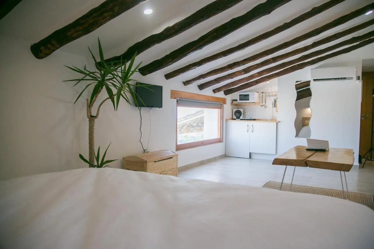 Apartamentos Turisticos La Casa Vieja 萨比奥特