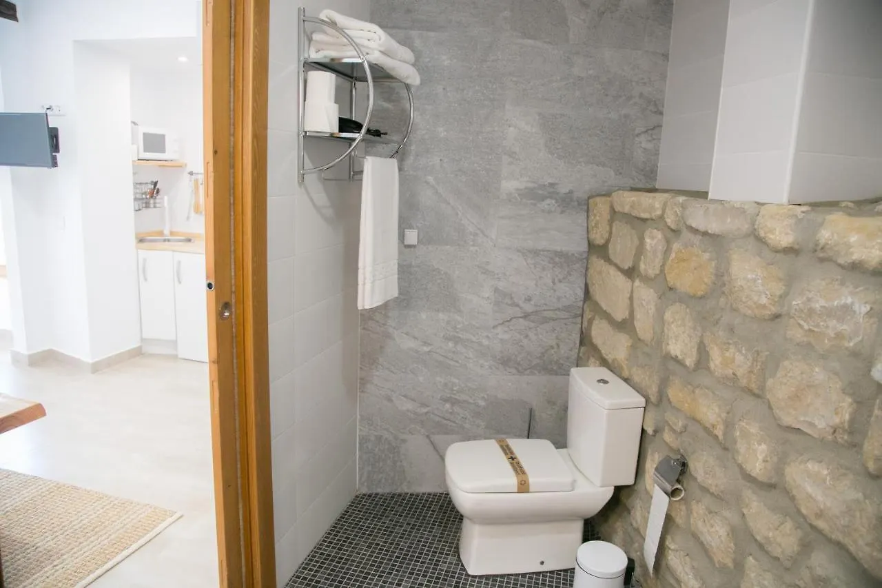 公寓式酒店 Apartamentos Turisticos La Casa Vieja 萨比奥特